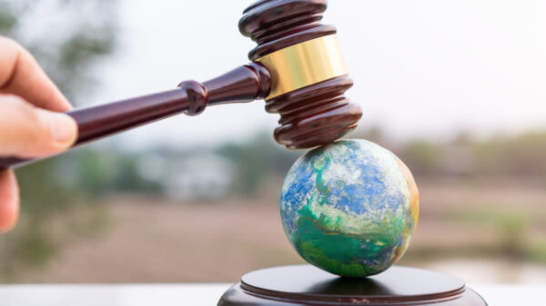 Derecho humano ambiente sano