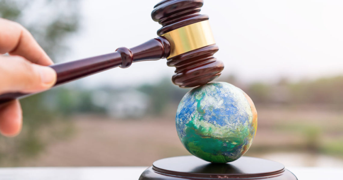 Derecho humano ambiente sano