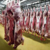 carne