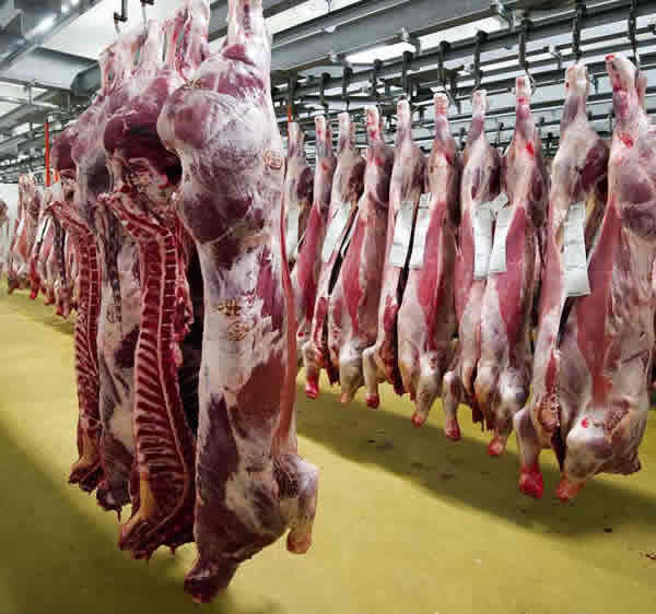 carne