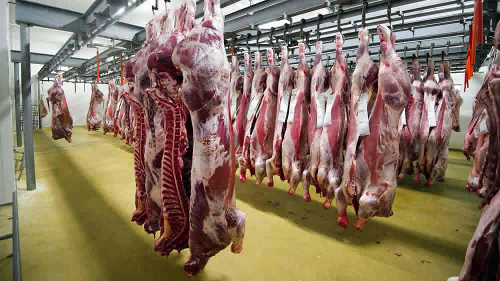 carne