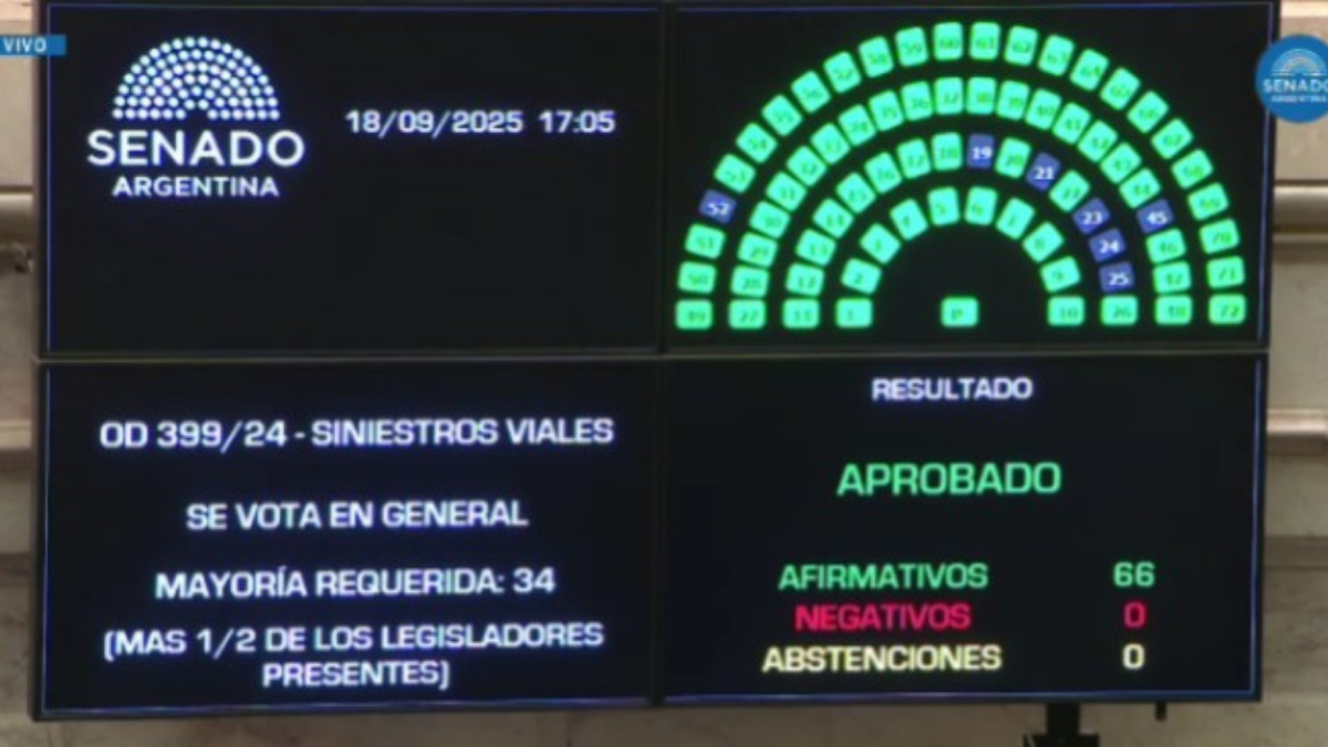 El Senado aprobó por unanimidad un proyecto para modificar el Código Penal y agravar las condenas por delitos viales