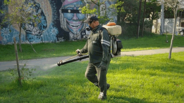 La Municipalidad comenzó con las tareas de fumigación de espacios verdes