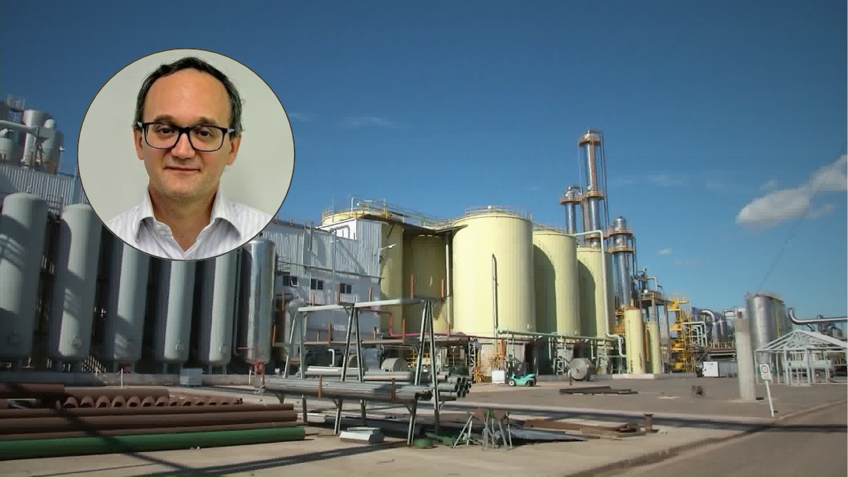 La industria de biodiésel pide al Senado un nuevo esquema normativo para evitar la implosión del sector