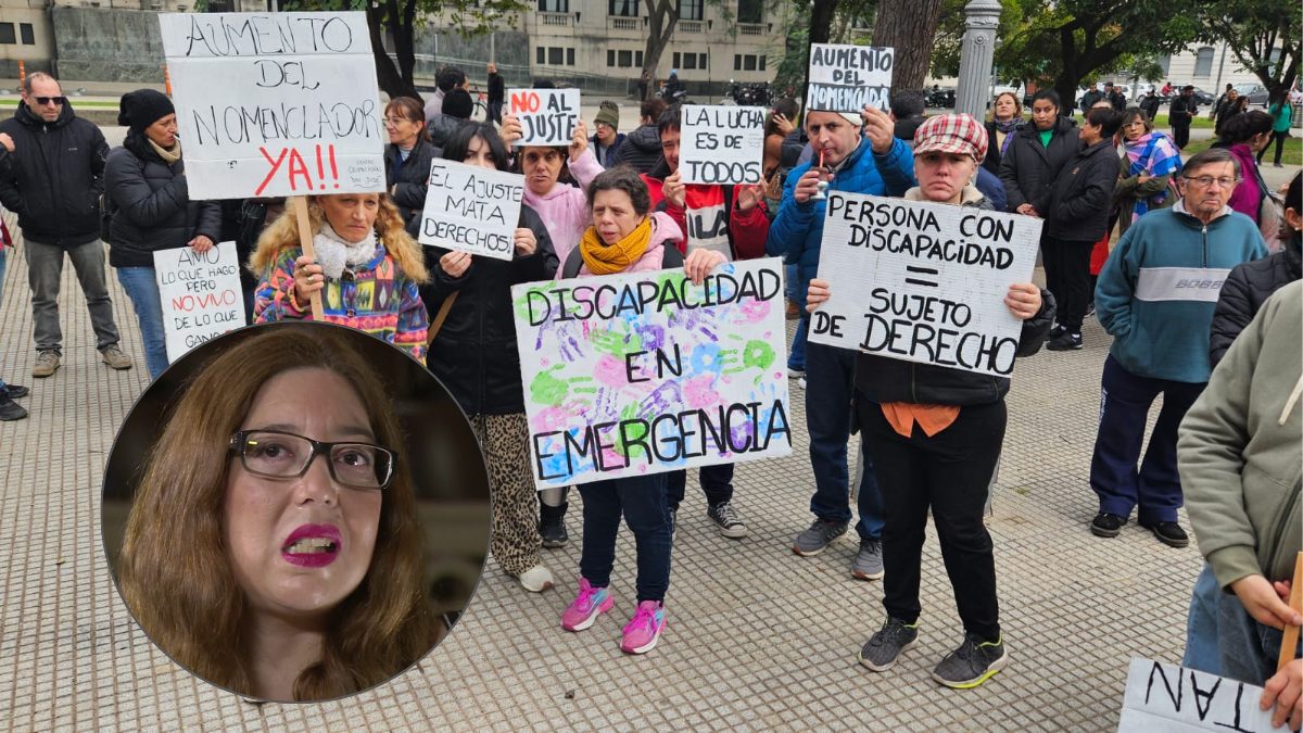 personas con discapacidad le entregarán una carta al presidente