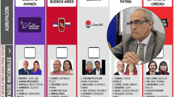boleta para diputados nacionales por la provincia de Buenos Aires