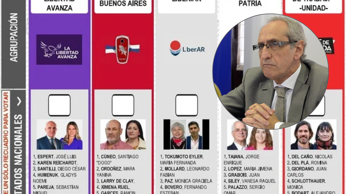 boleta para diputados nacionales por la provincia de Buenos Aires
