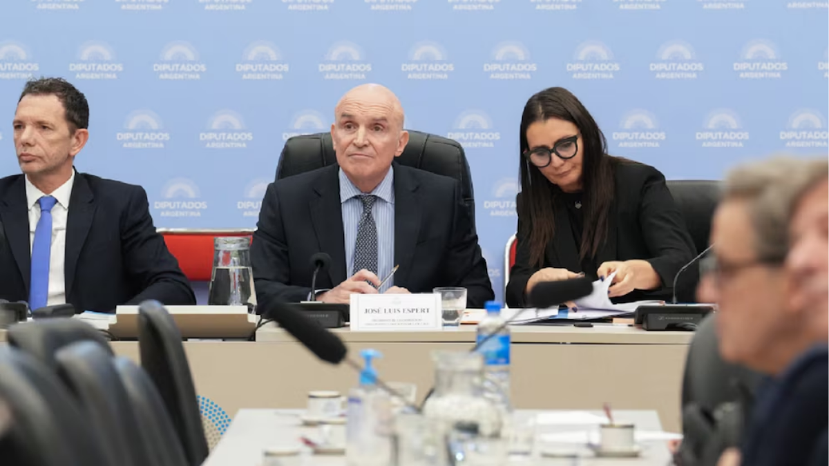 Espert renunció a la Comisión de Presupuesto