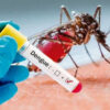 Se detectó la presencia del mosquito transmisor del dengue, en 16 barrios de Santa Fe