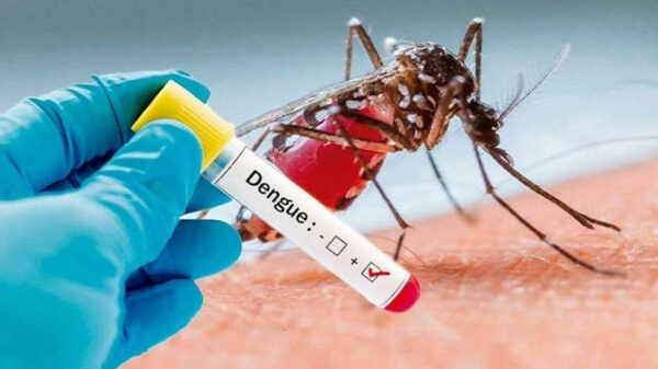 Se detectó la presencia del mosquito transmisor del dengue, en 16 barrios de Santa Fe