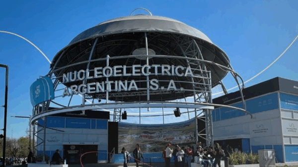 privatización nucleoeléctrica s.a