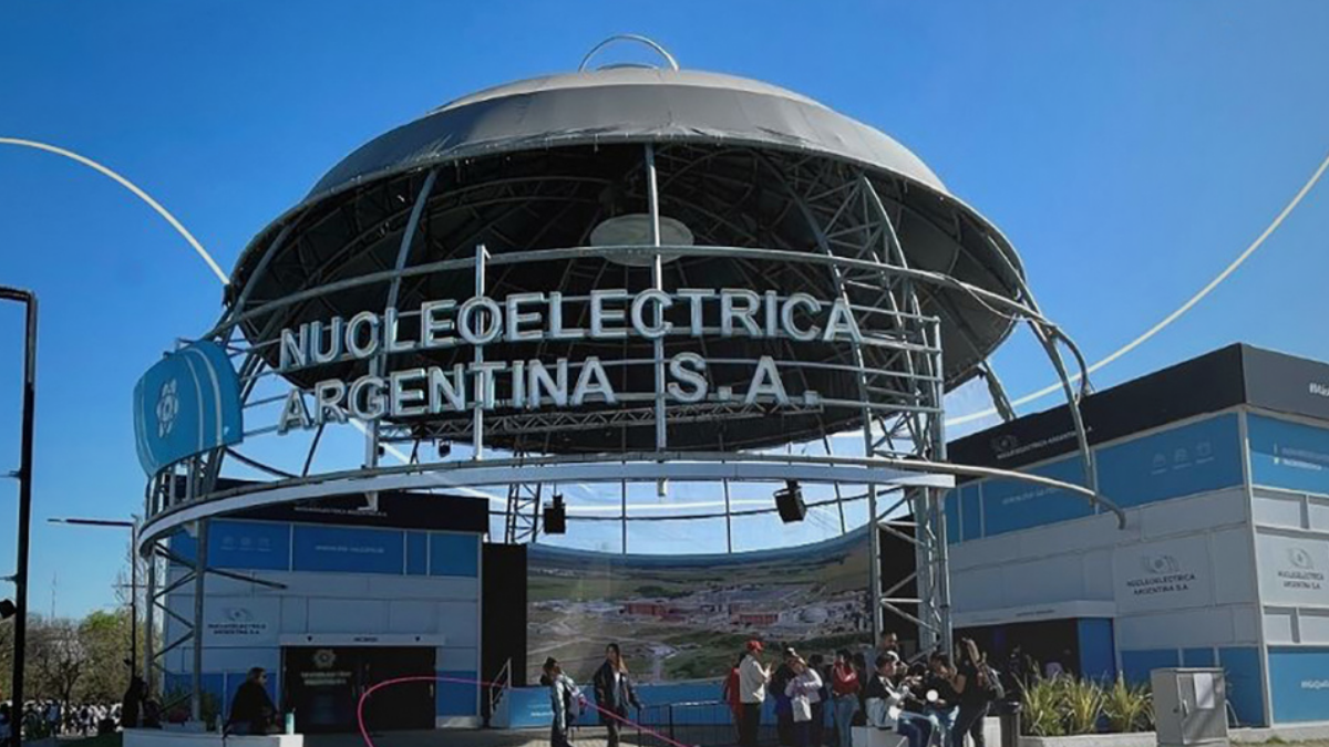 privatización nucleoeléctrica s.a
