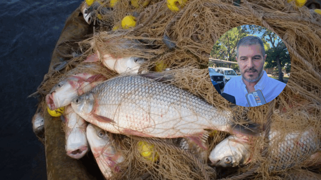 acopio para exportación