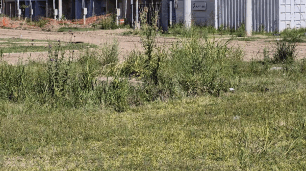 barrio esmeralda este