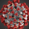 coronavirus covid 19