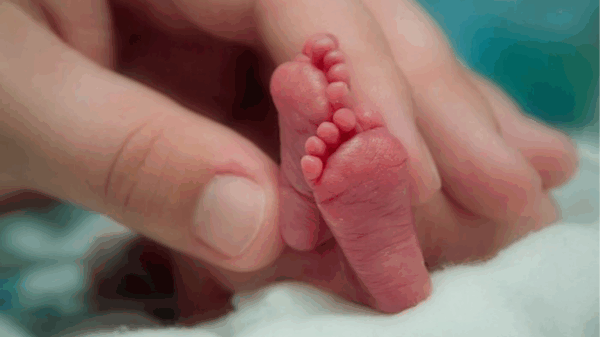 semana del prematuro