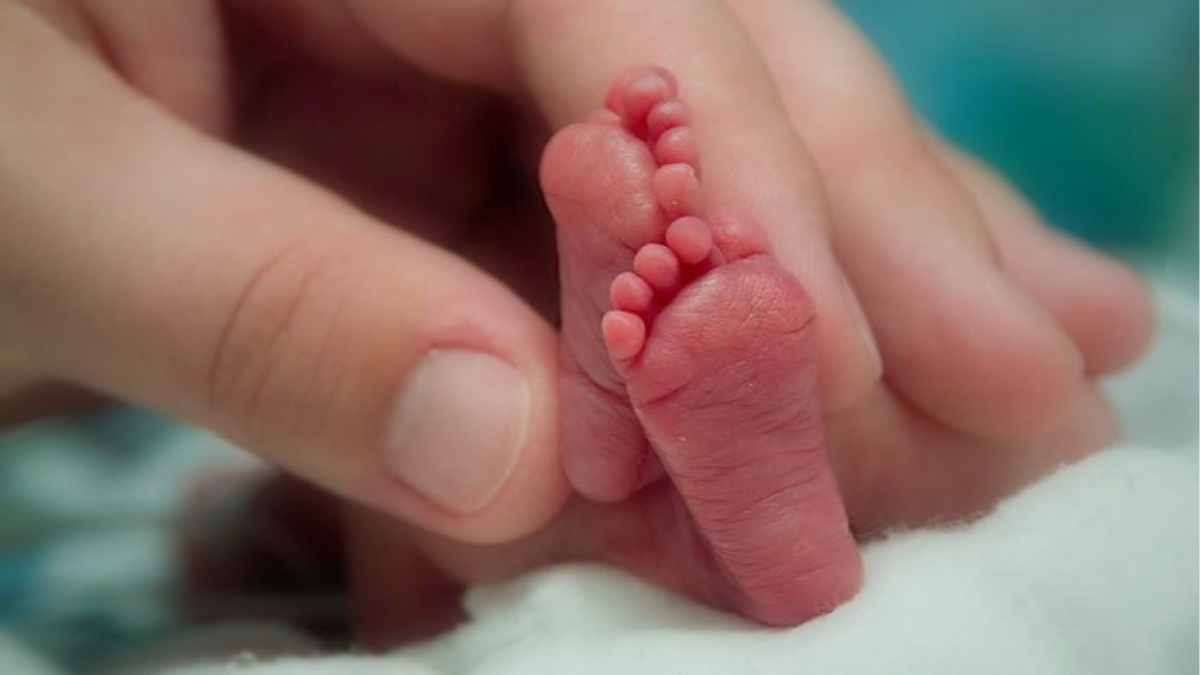 semana del prematuro