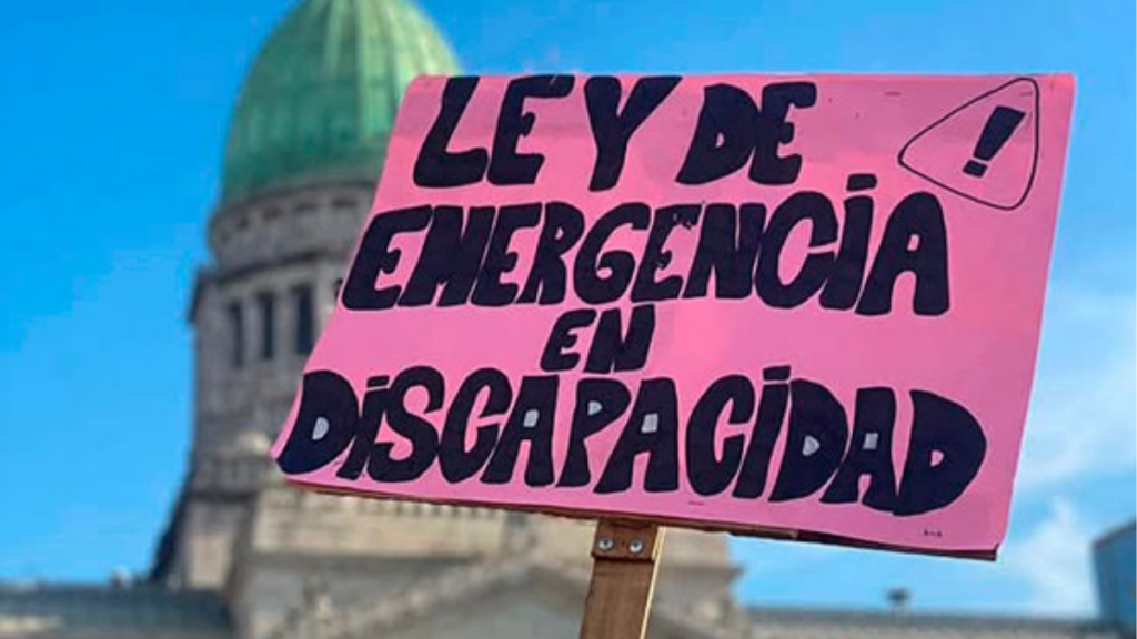 ley de emergencia en discapacidad