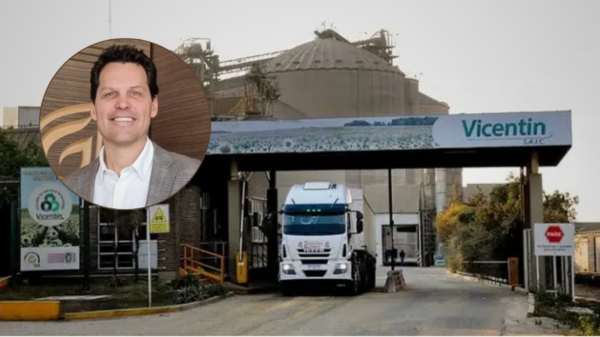 mariano grassi vicentin