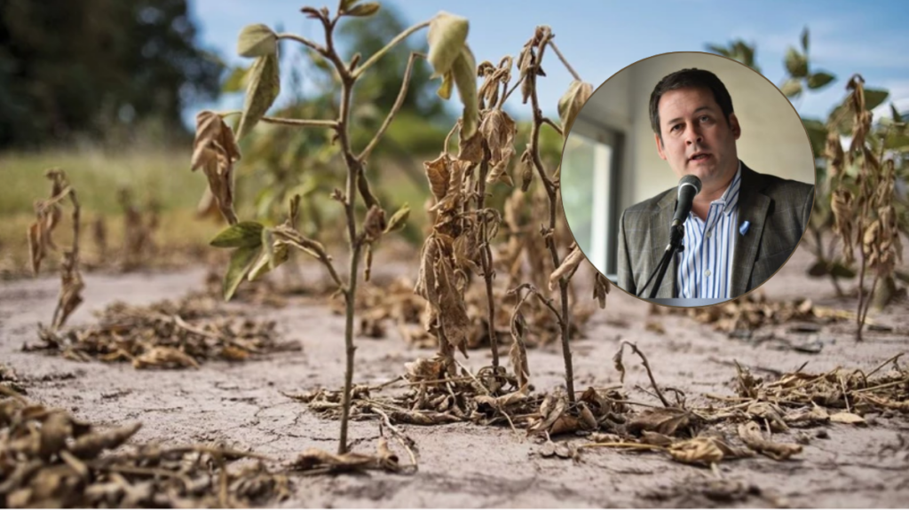 emergencia agropecuaria