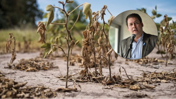 emergencia agropecuaria
