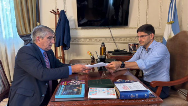 renovación de la corte