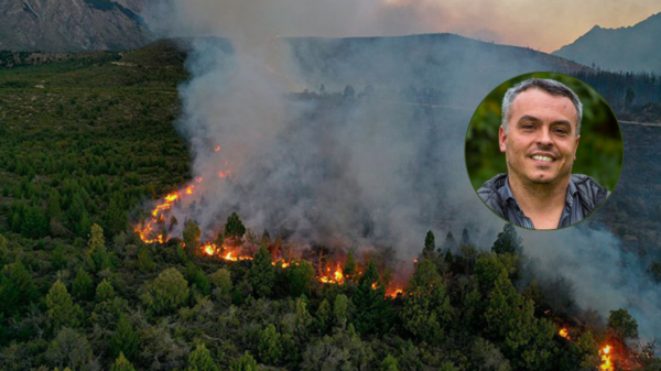 paulon incendios