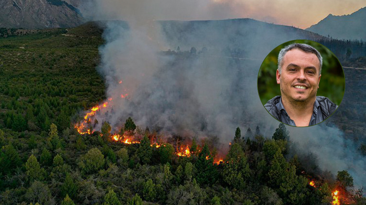 paulon incendios