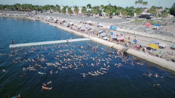 festival de la planchita