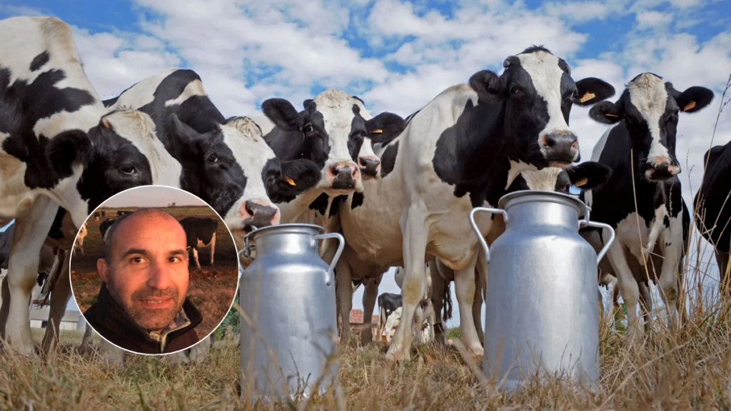 crisis en la lecheria