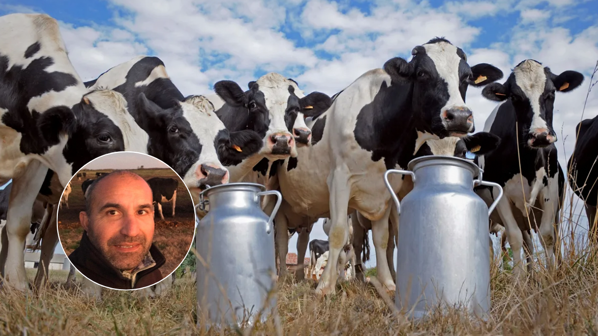 crisis en la lecheria