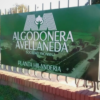 algodonera avellaneda