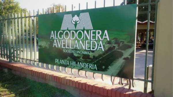 algodonera avellaneda