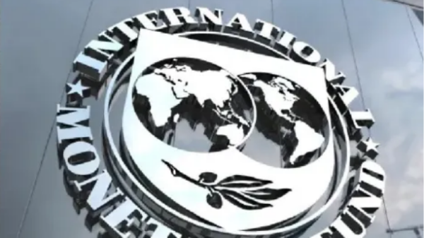 fmi indec