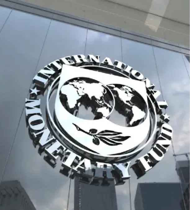 fmi indec