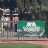 algodonera avellaneda