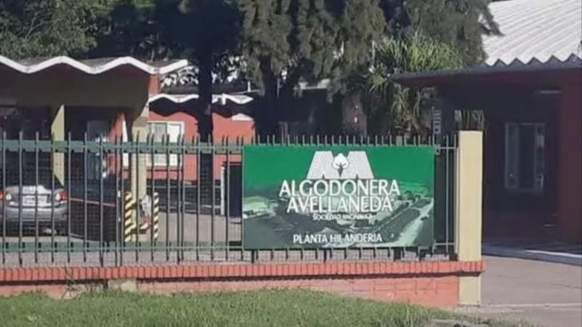 algodonera avellaneda