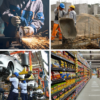 actividad económica