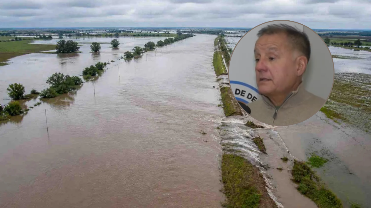 el niño