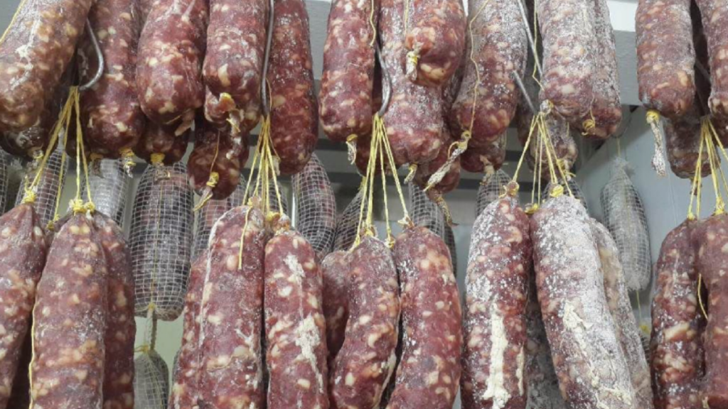 brotes de triquinosis