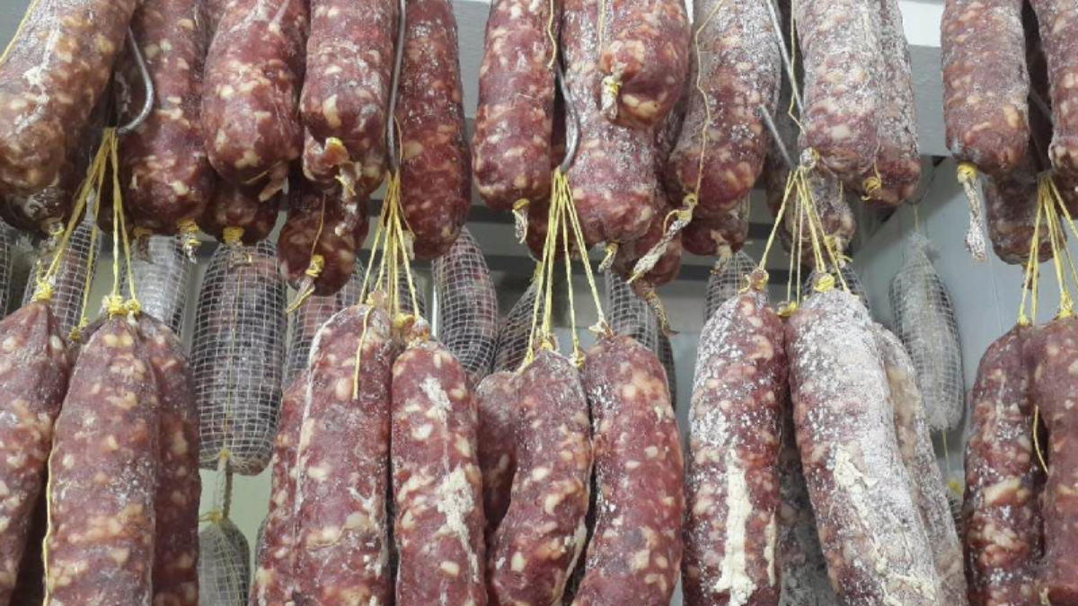 brotes de triquinosis