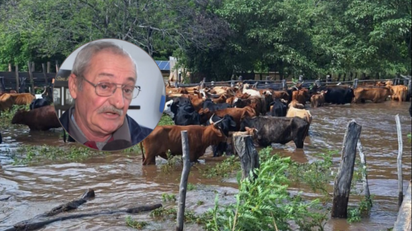 el niño