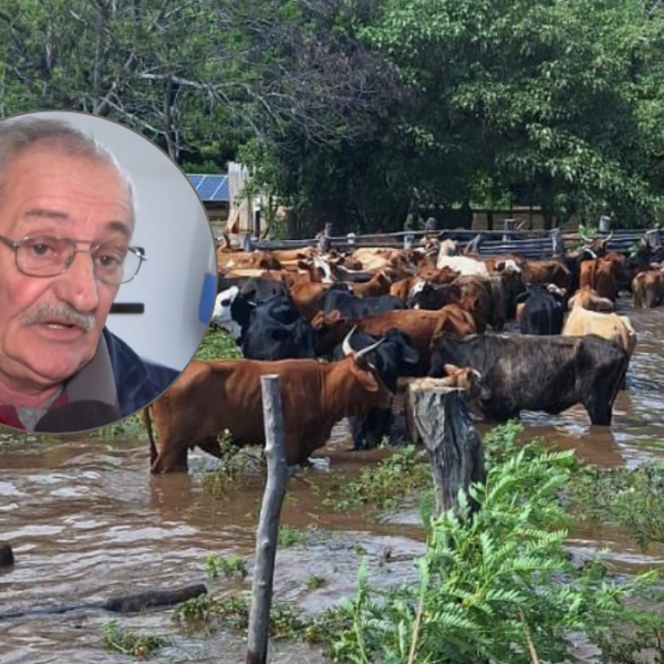el niño