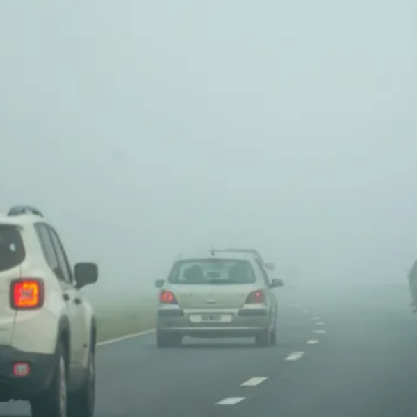 Niebla y baja visibilidad