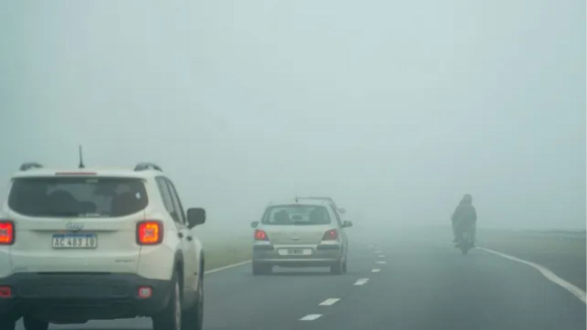 Niebla y baja visibilidad