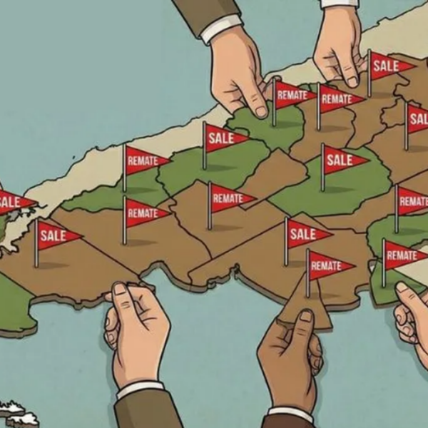 extranjerización de tierras