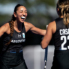 Las leonas