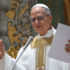 Visita papal